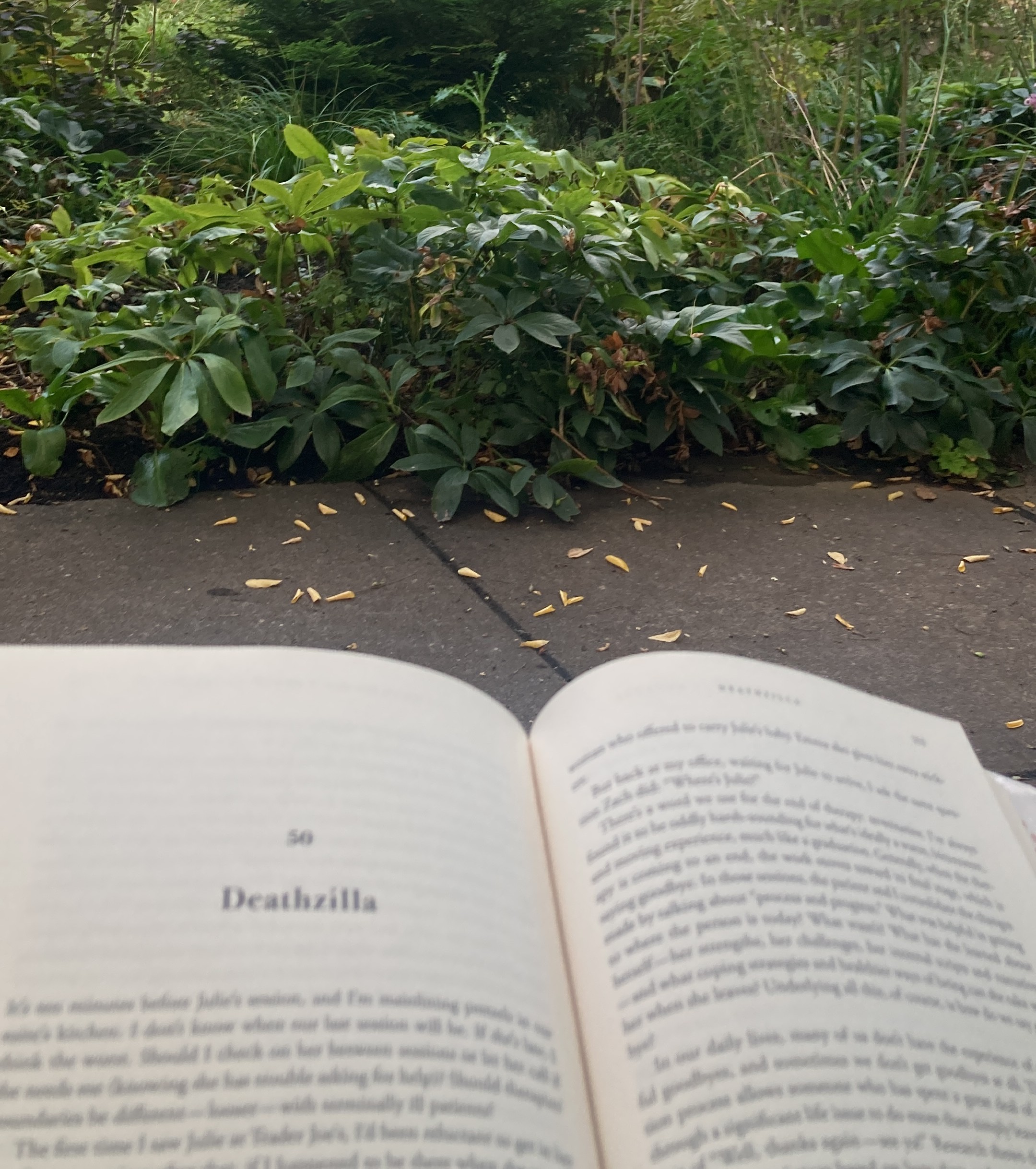 Reading books